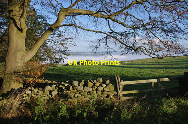 Photo 6"x4" Farmland below Caton Moor Brookhouse\/SD5464 c2014