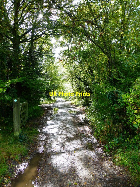 Photo 6"x4" Staunton Way enters Hammond's Lands Copse Durrants\/SU7209 c2014