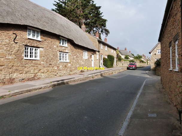 Photo 6"x4" West Street, Abbotsbury, Dorset, Looking East Abbotsbury\/SY5785 c2014