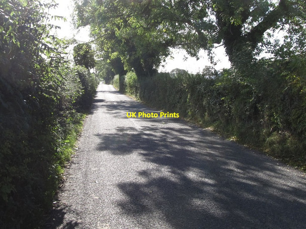 Photo 6"x4" View SSE along the northern end of Woodgrange Road Annacloy c2014
