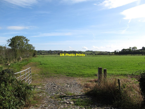 Photo 6"x4" Grazing land on the Annacloy River floodplain Annacloy c2014