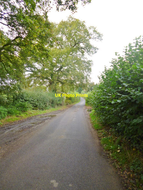 Photo 6"x4" Fryern Court Road Fordingbridge c2014