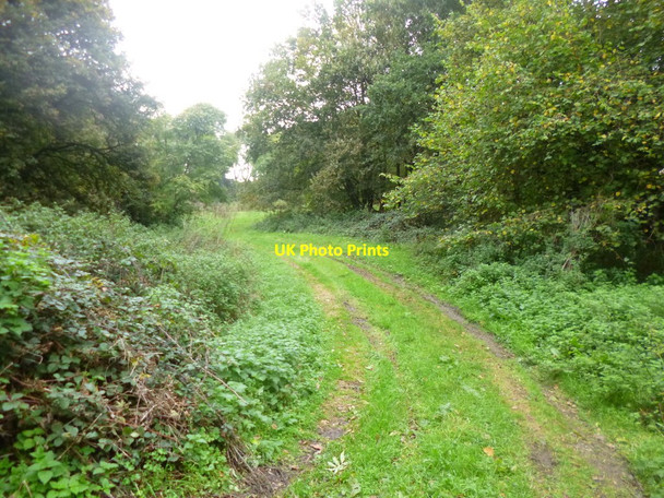 Photo 6"x4" Outwick, farm track Flood Street c2014
