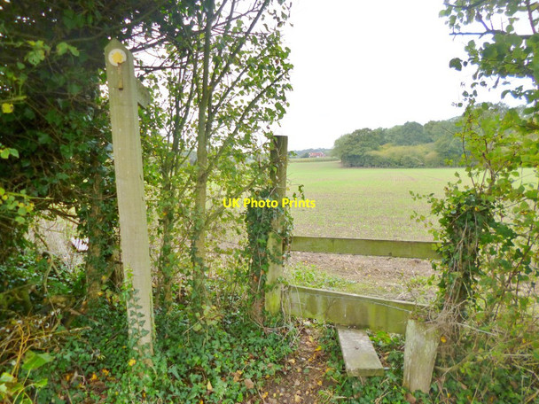 Photo 6"x4" Outwick, stile & signpost Flood Street c2014