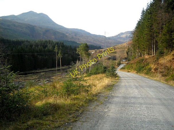 Photo 6"x4" Track in Loch Ard Forest Kinlochard c2008