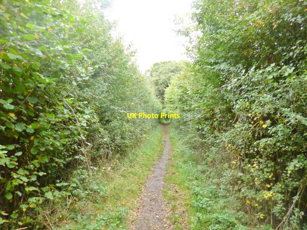 Photo 6"x4" Fordingbridge, Avon Valley Way Fordingbridge c2014