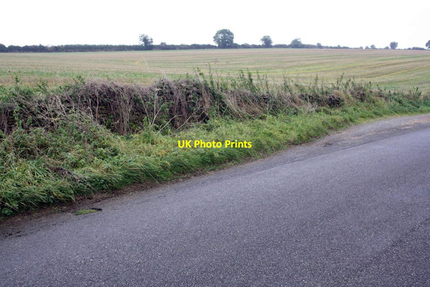 Photo 6"x4" Oil seed rape field behind dry stone wall Enstone c2014