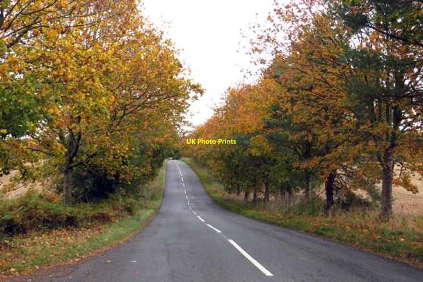 Photo 6"x4" The B4437 to Woodstock Fawler\/SP3717 c2014