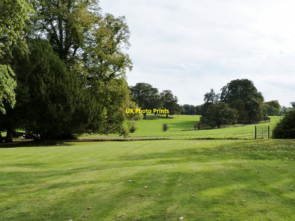 Photo 6"x4" Part of the Deer Park at Stock Gaylard House King's Stag c2014