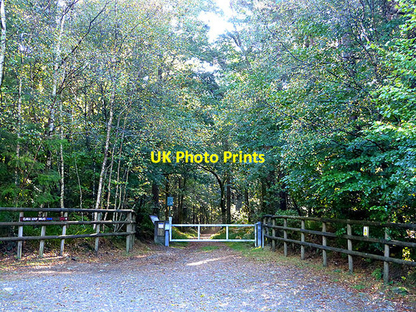 Photo 6"x4" Start of the Clara Loop Walks Rathdrum c2014