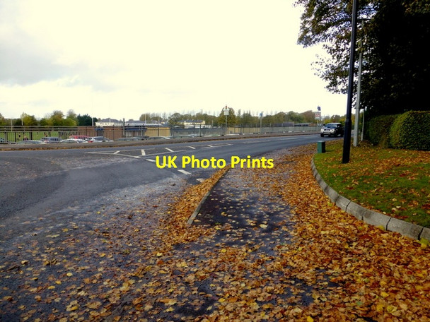 Photo 6"x4" Fallen leaves, Crevenagh Road, Omagh Omagh c2014