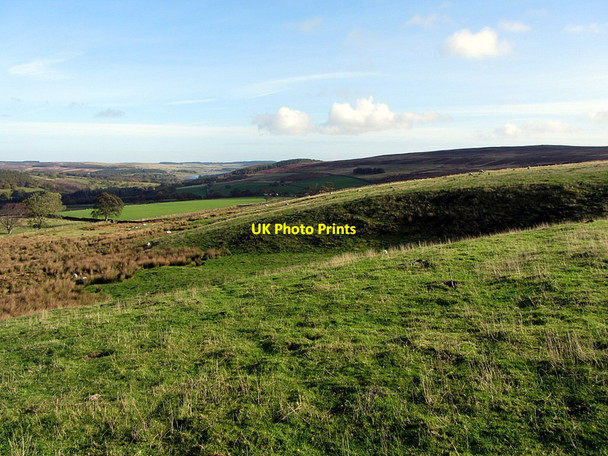 Photo 6"x4" Grassland above Buchshott Farm Blanchland c2014