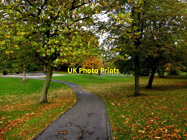 Photo 6"x4" Fallen leaves, The Grange, Omagh Omagh c2014