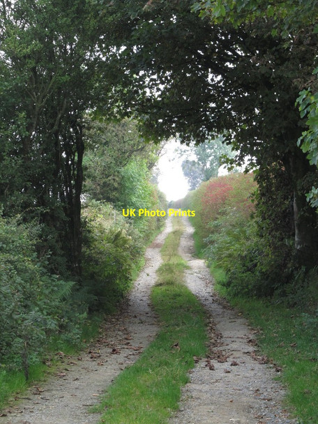 Photo 6"x4" Private farm lane leading south from the Shaughan Road Belleek\/H9827 c2014