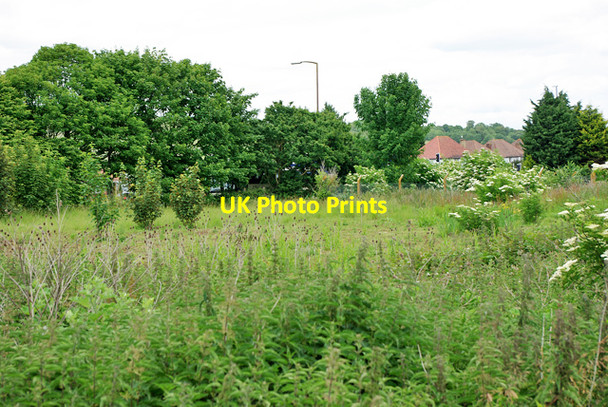 Photo 6"x4" Overgrown field by A259 Hangleton\/TQ0803 c2010