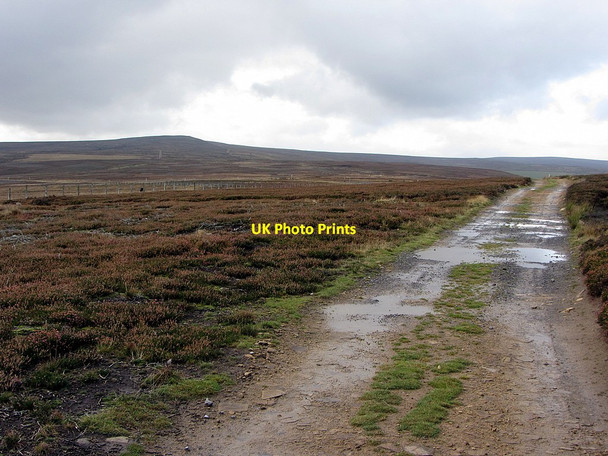 Photo 6"x4" Moorland track towards Bolt's Law Ramshaw\/NY9547 c2014
