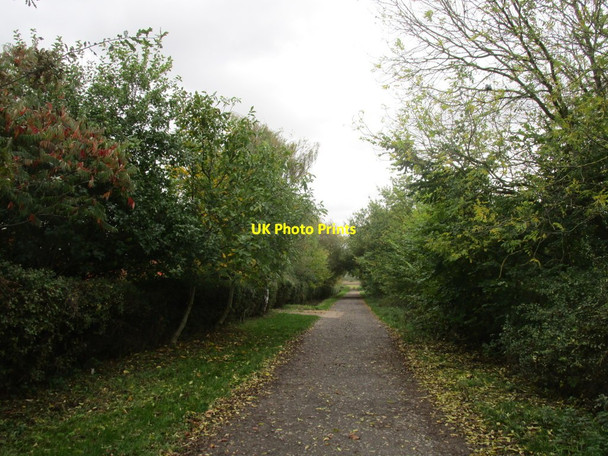 Photo 6"x4" Fen Lane NORTH HYKEHAM c2014