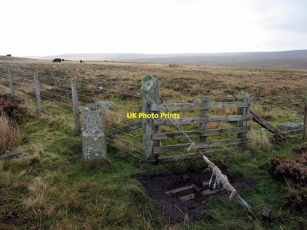 Photo 6"x4" Old Man's Grave Ramshaw\/NY9547 c2014