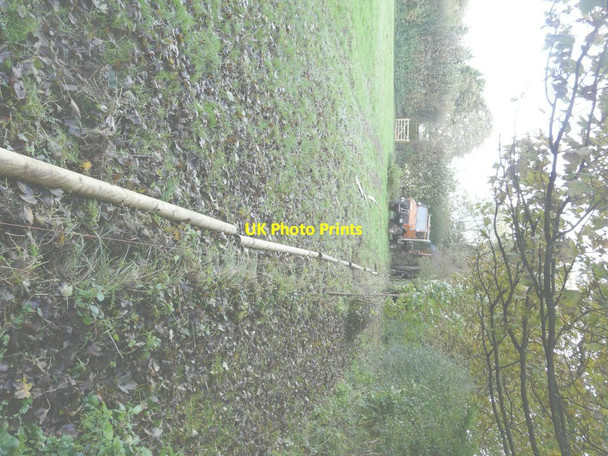 Photo 6"x4" Alignment of a new boundary fence Ridge Row c2014