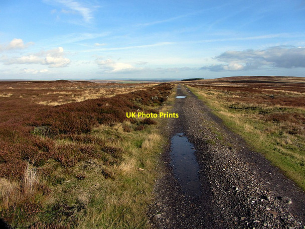 Photo 6"x4" Track beside disused lead smelter flue Ramshaw\/NY9547 c2014