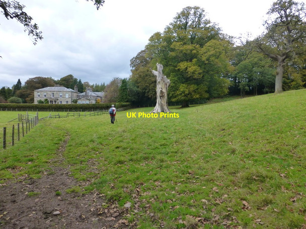 Photo 6"x4" Casterton Park Kirkby Lonsdale c2014