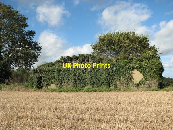 Photo 6"x4" Overgrown RAF building Fritton\/TG4018 c2014