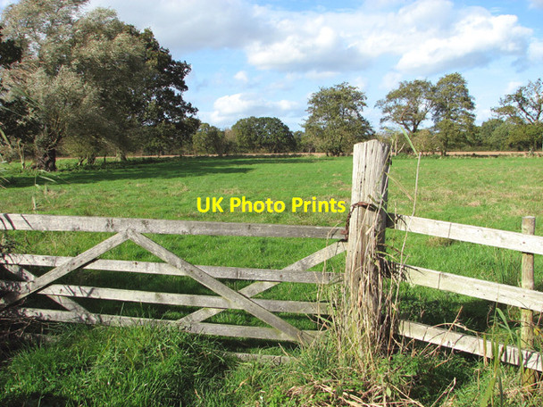 Photo 6"x4" Gate into pasture at Dyke End Fritton\/TG4018 c2014
