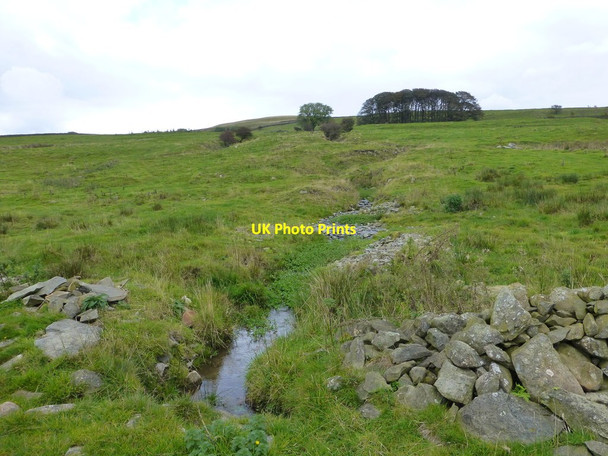 Photo 6"x4" Brook running off Brownthwaite Fell Kirkby Lonsdale c2014