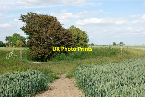 Photo 6"x4" Footpath junction near Climping Littlehampton c2010