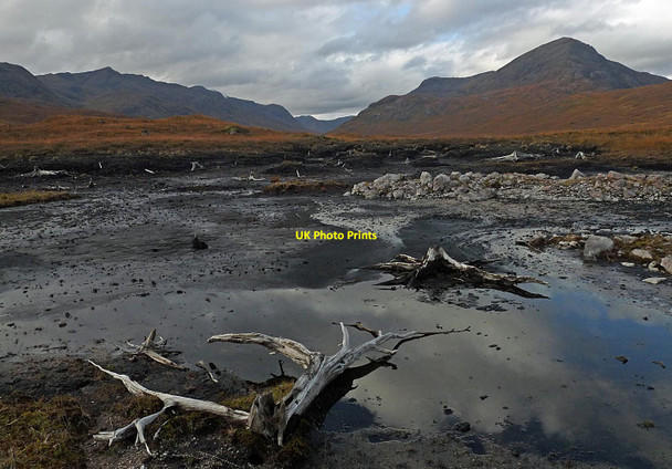 Photo 6"x4" Tree stumps, Loch Loyne, Inverness-shire Glenloyne c2014