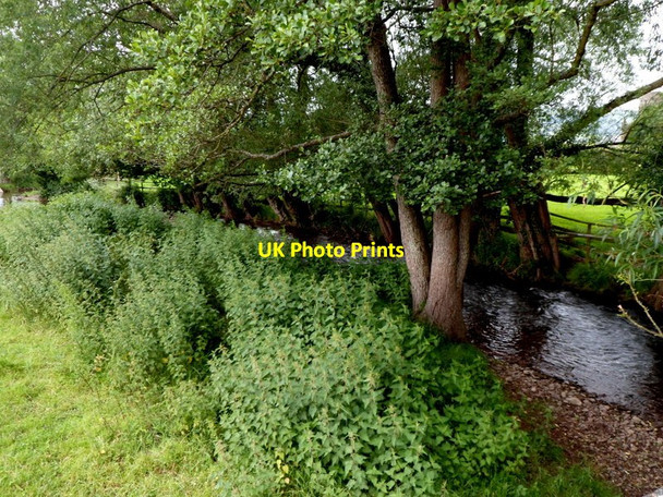 Photo 6"x4" Upstream along Rhiangoll near Tretower Tretower c2012