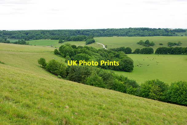 Photo 6"x4" View south-west from Blackpatch Hill North End\/TQ1109 c2010