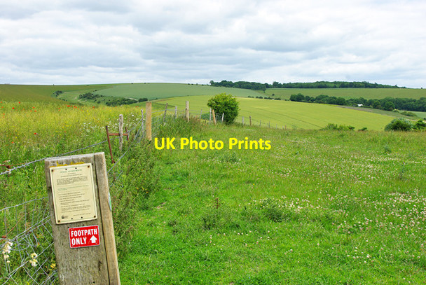 Photo 6"x4" Permissive access, Blackpatch Hill North End\/TQ1109 c2010
