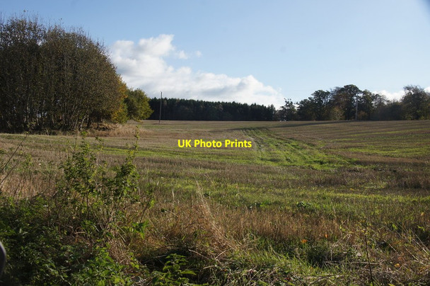 Photo 6"x4" Fields at Newmiln, south of Guildtown Guildtown c2014