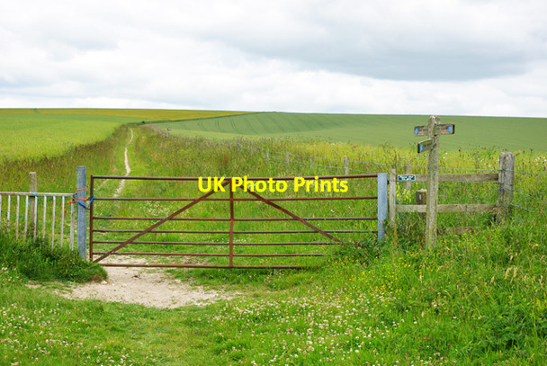 Photo 6"x4" South Downs bridleway junction North End\/TQ1109 c2010