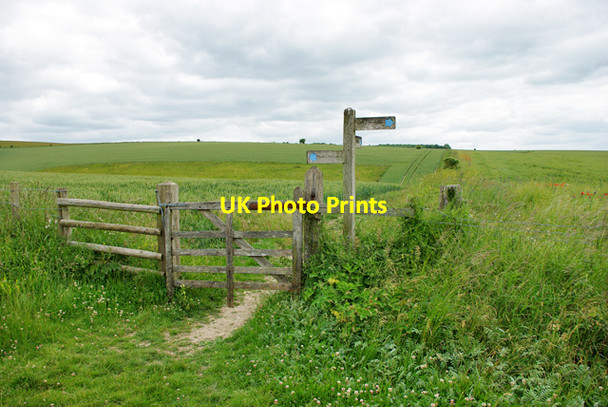 Photo 6"x4" South Downs bridleway junction North End\/TQ1109 c2010