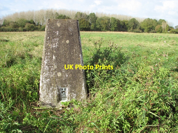 Photo 6"x4" Triangulation pillar on Metfield Common Metfield c2014