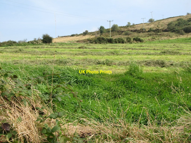 Photo 6"x4" Hay meadow on the slopes of Annacloghmullin Mountain Belleek\/H9827 c2014