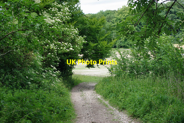 Photo 6"x4" Bridleway 2208 Patching c2010
