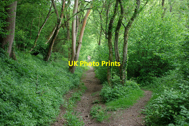 Photo 6"x4" Bridleway 2212 Burpham\/TQ0408 c2010