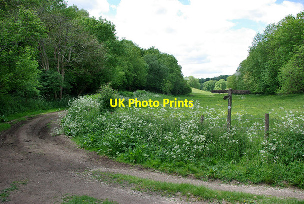 Photo 6"x4" Bridleway junction by Wepham Woods Burpham\/TQ0408 c2010 P1