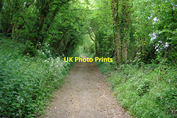 Photo 6"x4" Bridleway 2221 Burpham\/TQ0408 c2010
