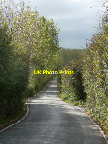Photo 6"x4" Raspberry Hill Lane near Iwade (2) Iwade c2014