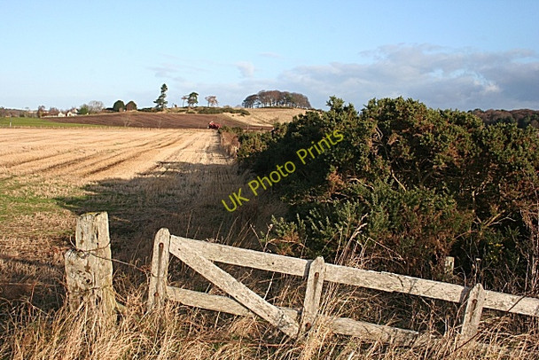 Photo 6"x4" Field Gate near Coxton Greens of Coxton c2008