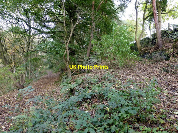 Photo 6"x4" Footpath and track junction in Holt Wood Farley\/SK2961 c2014