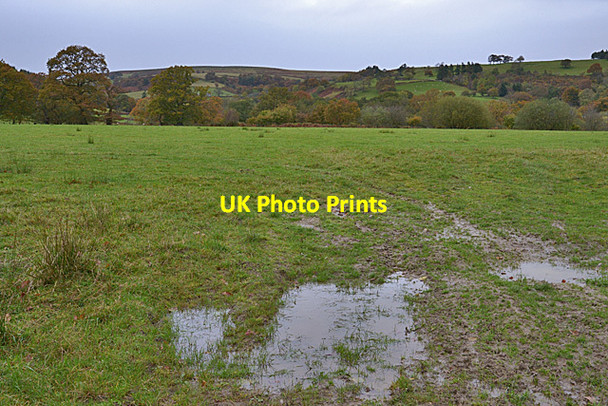 Photo 6"x4" Field near Upper Cefncoed Newbridge-on-Wye c2014