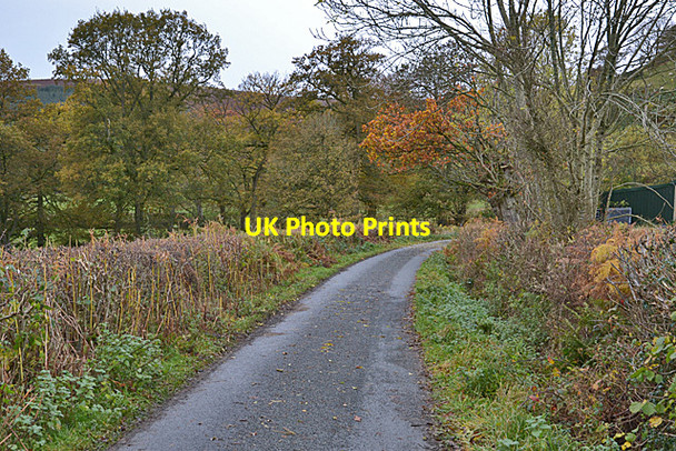 Photo 6"x4" Road climbing towards Coed Bryn Llanwrthwl c2014