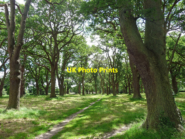 Photo 6"x4" The Common, Hartley Wintney Hartley Wintney c2012