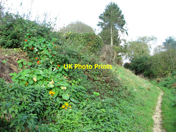 Photo 6"x4" View along Wash Lane Saxlingham Nethergate c2014