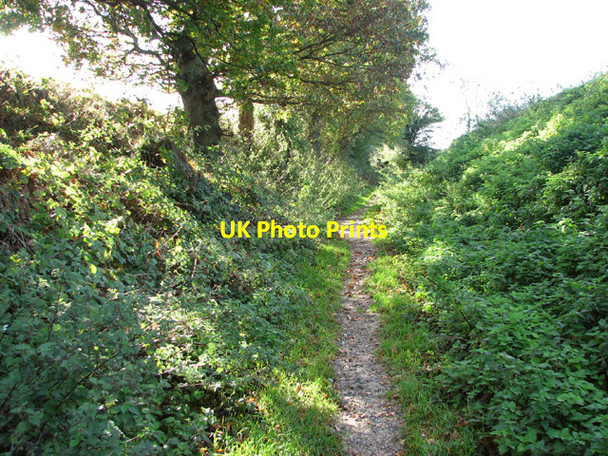 Photo 6"x4" Wash Lane Saxlingham Nethergate c2014